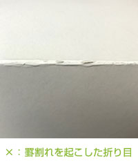 罫割れ無し画像